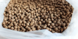 How Do You Choose the Best Fish Food for Your Aquarium Pets?