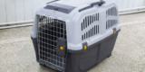 How Do You Choose the Best Exotic Pet Carrier for Your Animal?